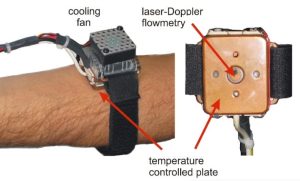 Introducing the Endotheliometer - A Device That Tracks Your Mortality 12