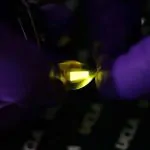 Scientists Develop Stretchy and Foldable OLED Screen 29 Scientists Develop Stretchy and Foldable OLED Screen 28