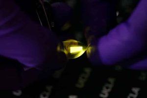 Scientists Develop Stretchy and Foldable OLED Screen 12