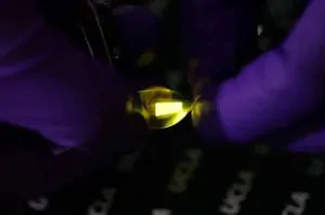 Scientists Develop Stretchy and Foldable OLED Screen 16