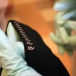 Is Smart Underwear in Our Near Future? 32 Is Smart Underwear in Our Near Future? 31
