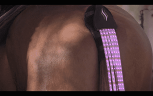 Here is an LED Tail to Keep Your Horses Safer 6
