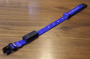 This Bluetooth LED Dog Collar Will Light Fido's Way 8