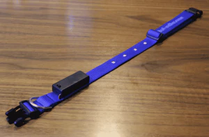 This Bluetooth LED Dog Collar Will Light Fido's Way 1 This Bluetooth LED Dog Collar Will Light Fido's Way 1