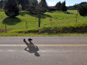 Texas Researchers Create Battery Powered Invisibility Cloak 10
