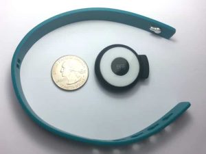 MyFitDog Will Help Keep Your Dog Fit and Trim 6