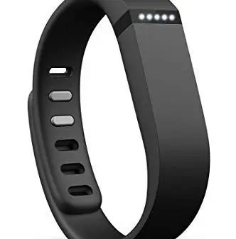 Fitbit Flex 1 Fitbit Flex