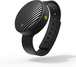 DISCOVER 176 BoomBand