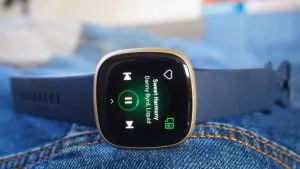 Amazfit GTS 2 v Fitbit Versa 3: fitness watchescompared 15