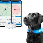 Tractive GPS Pet Tracker & Collar 7