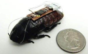 Dystopia alert: Researchers turn cockroaches into cyborg slaves 12