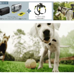 Sony Readies Wearable HD Camera Harness For, um, Dogs 22