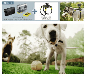 Sony Readies Wearable HD Camera Harness For, um, Dogs 1