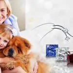 Remember your pet forever by turning them into a diamond necklace 3 Remember your pet forever by turning them into a diamond necklace 2