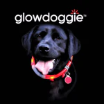 Glowdoggie glowing LED collar keeps your pooch bright and colorful 1