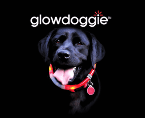 Glowdoggie glowing LED collar keeps your pooch bright and colorful 5