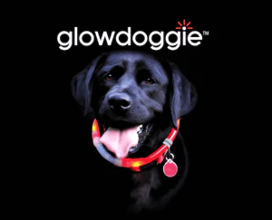 Glowdoggie glowing LED collar keeps your pooch bright and colorful 1