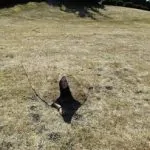 HyperStealth announces creation of Harry Potter-esque invisibility cloak 3 HyperStealth announces creation of Harry Potter-esque invisibility cloak 2