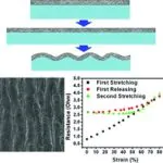 NCSU uses silver nanowires to create the world's first stretchable conductors 3 NCSU uses silver nanowires to create the world's first stretchable conductors 2