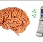 EHP publishes study suggesting cell phone usage does not contribute to brain cancer 28
