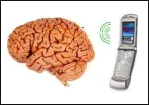 EHP publishes study suggesting cell phone usage does not contribute to brain cancer 1 EHP publishes study suggesting cell phone usage does not contribute to brain cancer 1