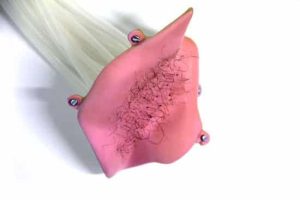 Robotic armpit proves that even scientists have a sense of humor 1
