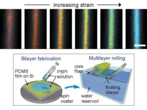 Scientists create fiber that changes color when stretched 1 Scientists create fiber that changes color when stretched 1